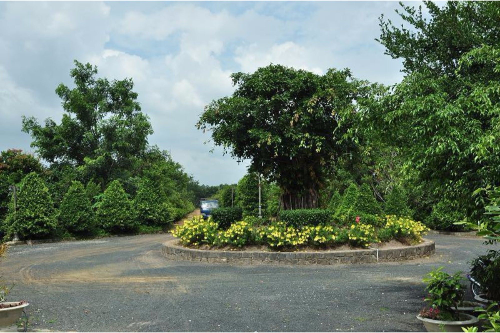 Long Chau Resort Xuyen Moc Exterior photo